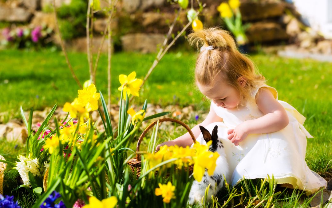 Easter Egg Hunt